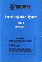 Petrol Injection System Fault Diagnosis_04opt2.jpg