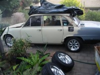 IMG_4646 (Large) (Small).jpg